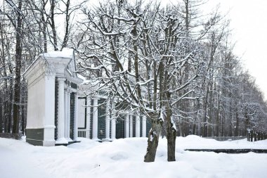 winter park for walking people