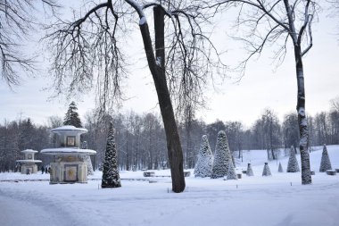 winter park for walking people