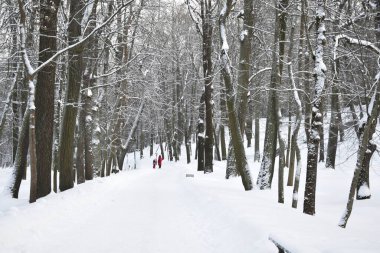 winter park for walking people