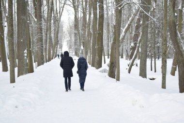 winter park for walking people