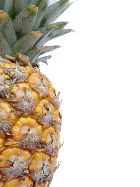 Pineapple Fruit White Background Stock Picture