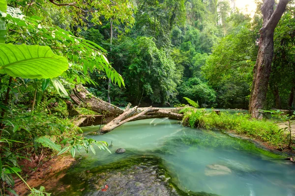 Prachtige kristallen stream — Stockfoto