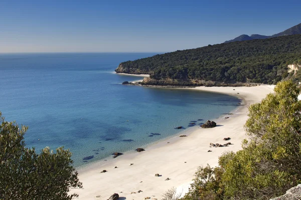 Playa portugal Imagen de stock