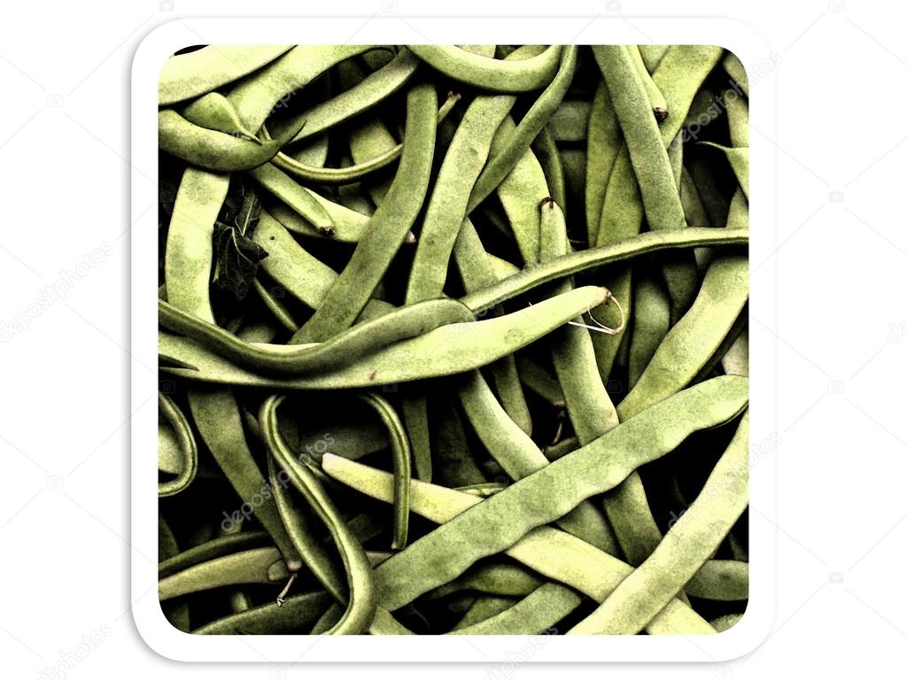 Vertical photo of pile of just harvested green beans at farm mar