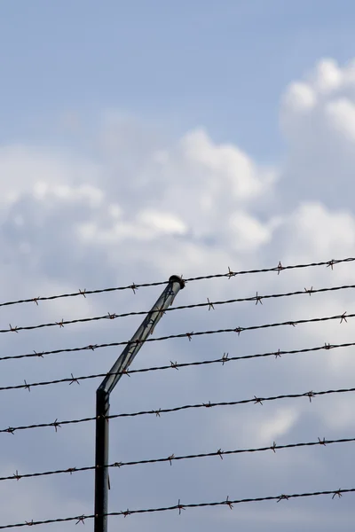 Barb wire fence and blue sky blackground — Stock Photo, Image