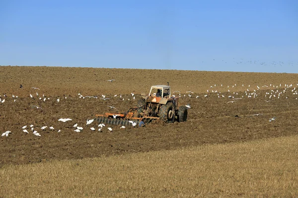 Énorme tracteur ramassant la meule de foin dans le champ à beau bleu ensoleillé — Photo