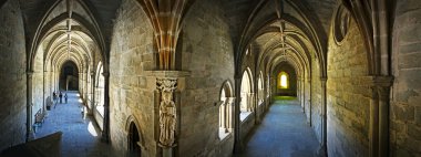 eski katedral Evora - alentejo, bağlantı yüksek çözünürlüklü görünüm