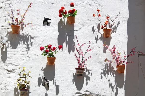 Белая стена с цветами, Португалия — стоковое фото