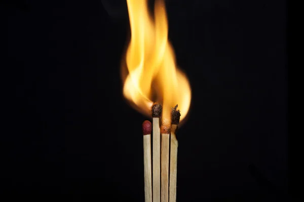 Burning match on a black background — Stock Photo, Image