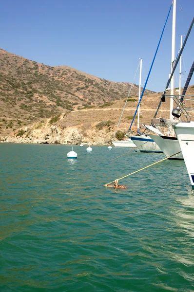 Festgemachte Yachten Santa Catalina Island — Stockfoto