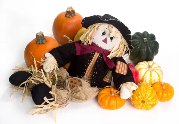 Scarecrow — Stock Photo, Image