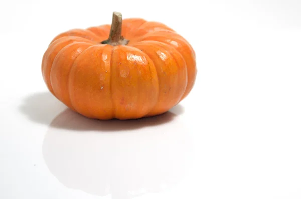 Fairytale Pumpkins — Stock Photo, Image