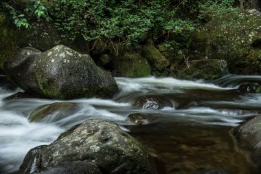 IAO Vadisi Milli Parkı, maui hawaii