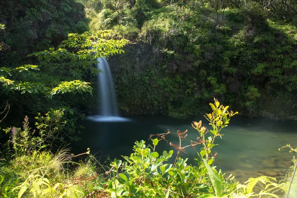 Road to Hana Waterfall — Stock Photo, Image