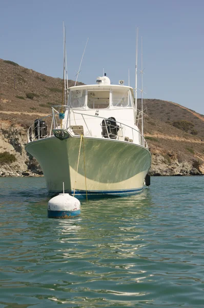 Båtar förtöjda vid catalina harbor — Stockfoto