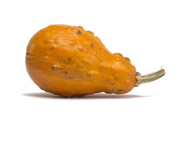 Calabaza aislada sobre fondo blanco —  Fotos de Stock