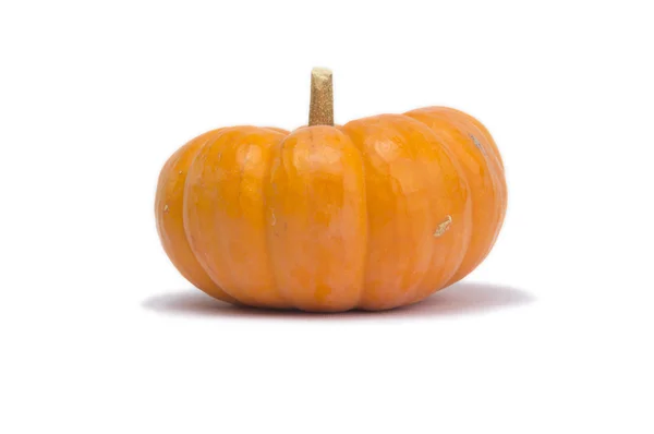 Calabaza aislada sobre fondo blanco — Foto de Stock