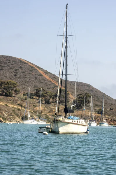 Segelbåt förtöjd vid catalina harbor — Stockfoto