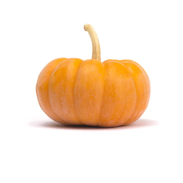 Fairytale Pumpkin — Stock Photo, Image