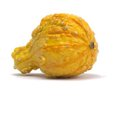 Kabak beyaz arkaplanda izole edildi