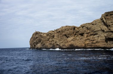 Molokini Adası koru