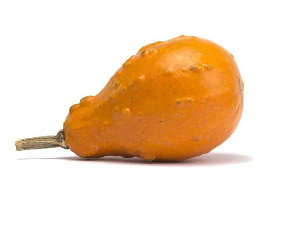 Calabaza aislada sobre fondo blanco —  Fotos de Stock