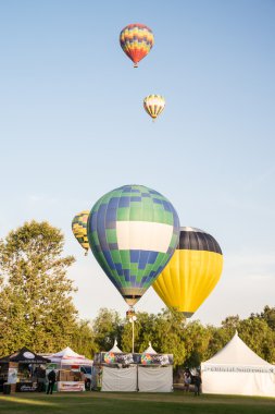 2013 temecula balon ve şarap Festivali