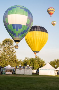 2013 temecula balon ve şarap Festivali