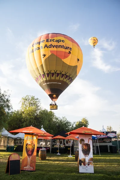 2013 temecula balón a vinobraní — Stock fotografie