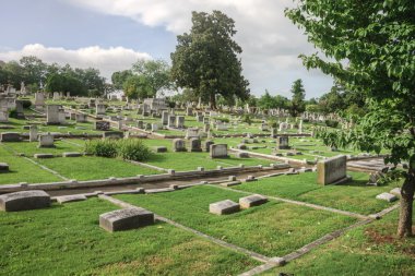 tarihi springwood mezarlığı