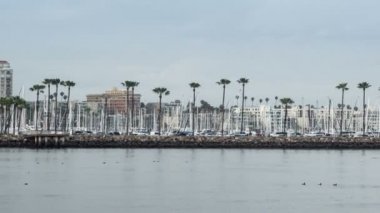 Shoreline village long beach zaman atlamalı video