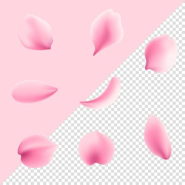 Şeffaf arkaplanda yalıtılmış gül yaprakları