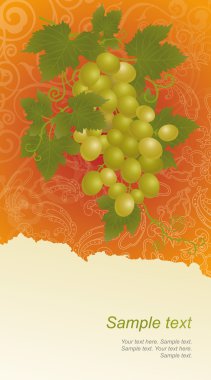 asma üzüm ile şablonu.