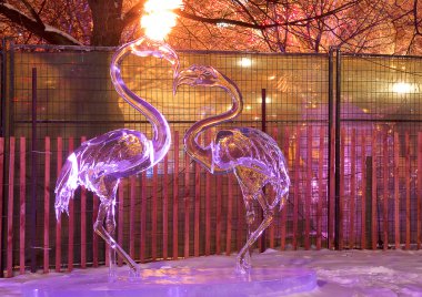 Icy Flamingos clipart