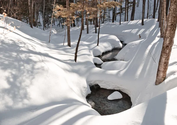 Kış Güzellik — Stok fotoğraf