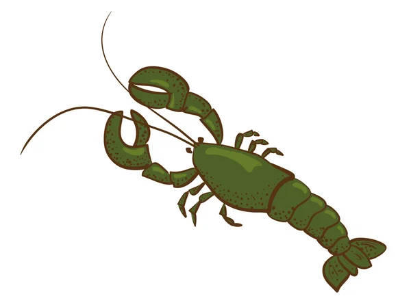 Big green lobster vector illustration — Stock Vector