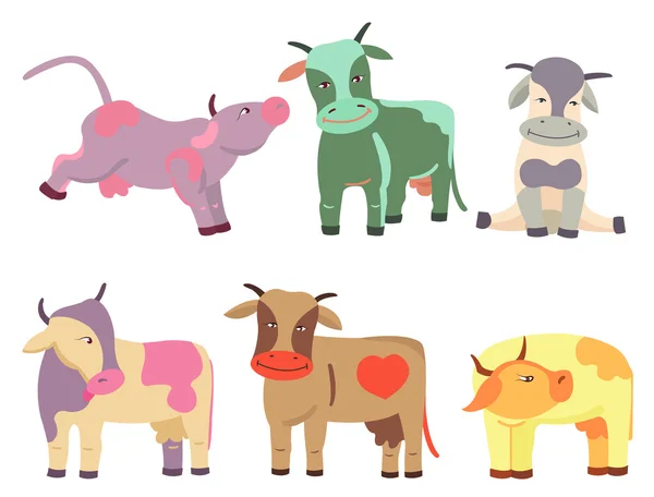 Conjunto de vacas — Vector de stock