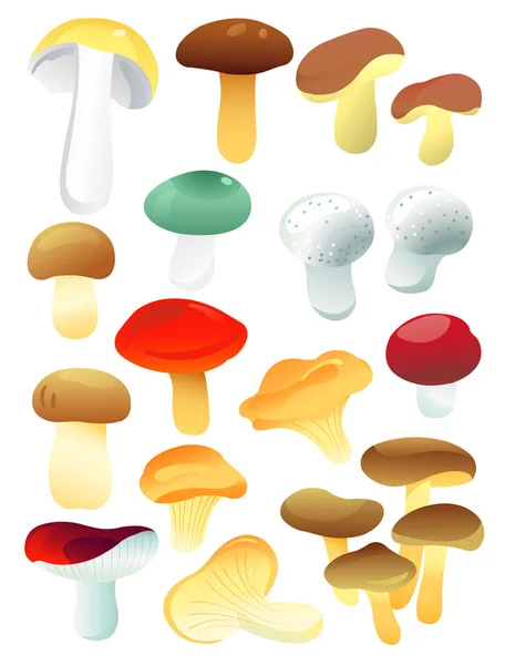 Set of mushrooms — Stock Vector