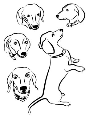 Köpeklerin Silhouettes