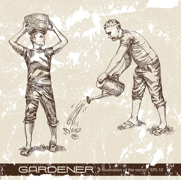 Jardinero. — Vector de stock
