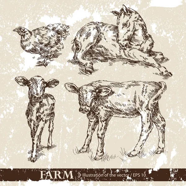 Animals Royalty Free Stock Vectors