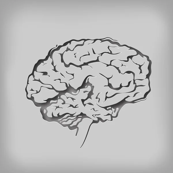 Cerebro. Formato vectorial — Vector de stock