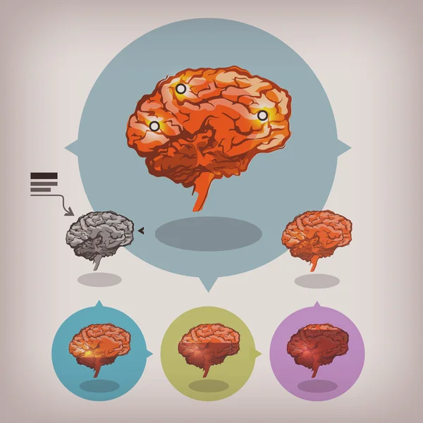 Cerebro. Formato vectorial — Vector de stock