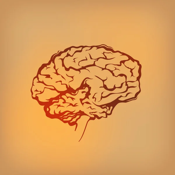 Mozek. vektorový formát — Stockový vektor
