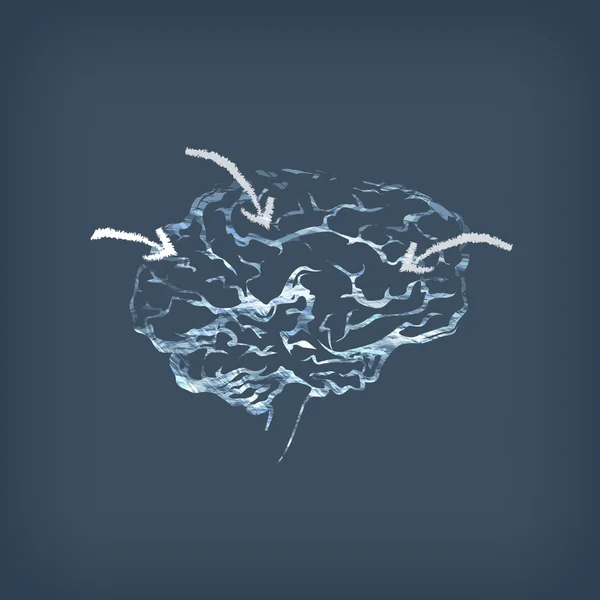 Cerveau. Format vectoriel — Image vectorielle