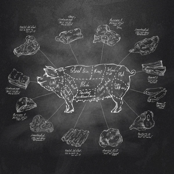 Cerdo. Formato vectorial — Archivo Imágenes Vectoriales