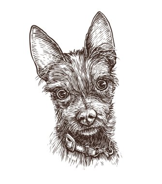 Şirin köpek eli çizimi. Hayvan, hayvan vektör illüstrasyonu