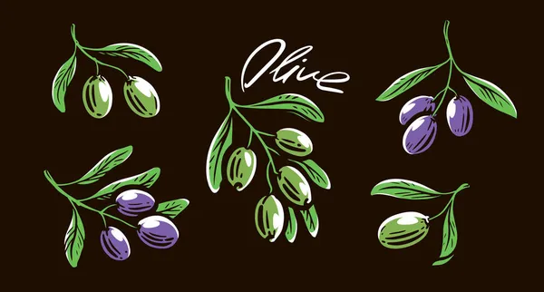 黑色背景的手绘橄榄枝 — 图库矢量图片