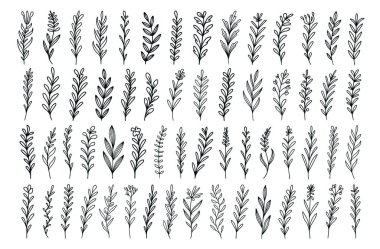 El yapımı vintage bitkiler, yapraklı dallar ve çiçekler. Dekoratif elementler tasarımı