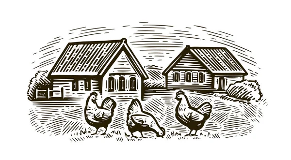 村のスケッチに鶏 ヴィンテージ彫刻スタイルの農村風景 — ストックベクタ
